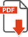 PDF icon small